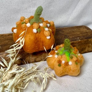 May include: Two needle-felted orange pumpkins with green stems. The larger pumpkin features small orange and white felted spheres on its surface. The smaller pumpkin has green, orange, and white felted accents. Dried oat stalks are in the foreground.