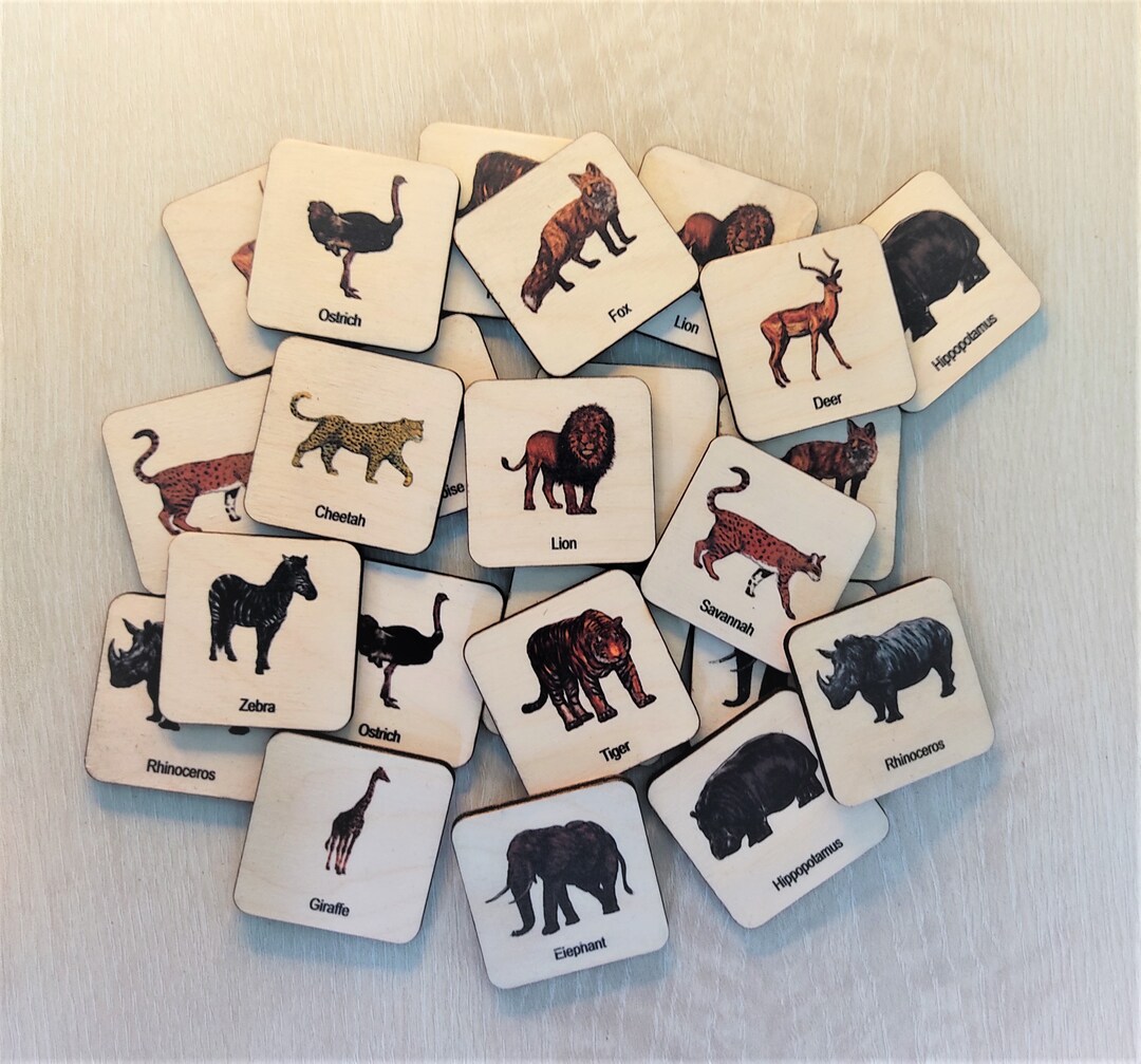 Safari Animals Flash Card Games Etsy