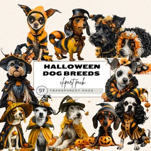 Clipart chiens Halloween, chien avec des vêtements, ensemble de cliparts races de chiens mignons et drôles, berger allemand, teckel, pointeur à poil court