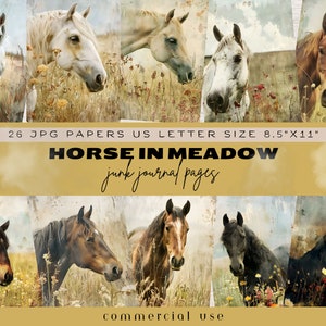 Watercolor Horse Junk Journal Pages, Horse Junk Journal Pages, Digital Paper, Digital Background, Horse in Meadow Illustration, Black Horse