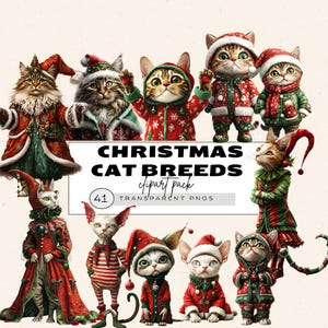 Clipart de chat de Noël original, clipart chat de Noël grincheux, clipart de races de chats de Noël lunatique, clipart de chats de Noël réaliste, surréaliste