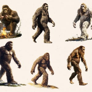 May include: Six illustrations of Bigfoot, a mythical creature, in various poses. Some are walking, while others are sitting or standing. The illustrations are in a cartoon style and have a humorous tone.