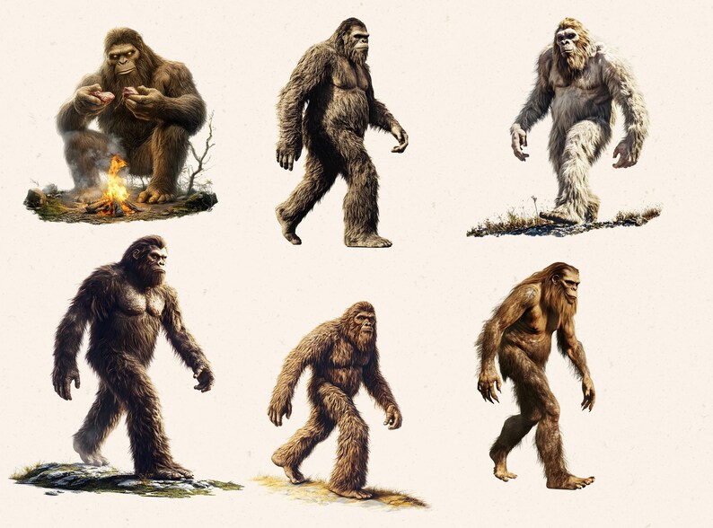 May include: Six illustrations of Bigfoot, a mythical creature, in various poses. Some are walking, while others are sitting or standing. The illustrations are in a cartoon style and have a humorous tone.