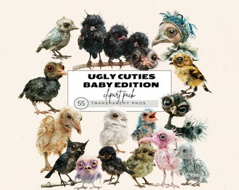 Grumpy Birds Clipart, Funny Bird Clipart Bundle, Quirky Bird Clipart, Ugly Birds, Realistic Baby Birds, Whimsical Bird, Surreal Bird Png