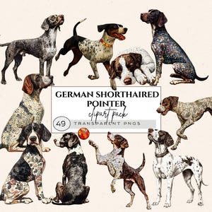 Imágenes prediseñadas de pointer alemán de pelo corto, imágenes prediseñadas de perro desde atrás, arte de pointer alemán, imágenes prediseñadas de perro de caza, arte de perro en acuarela, lindo perro Png, amante de los perros