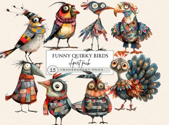 Quirky Animal Clipart, Funny Bird Clipart, Whimsical Bird Clipart, Funny Birds Png, Funny Birdies Png, Commercial Use,Print On Demand Design