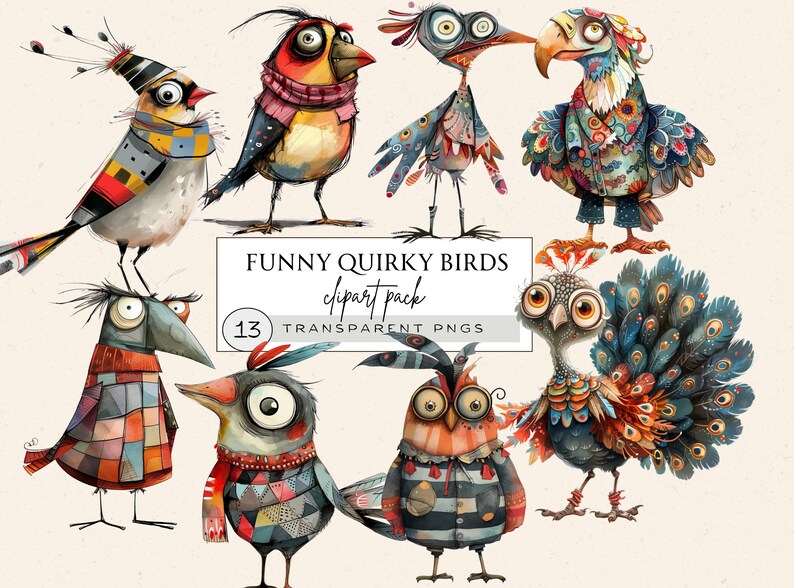 May include: A set of 13 quirky, colorful bird illustrations with a variety of patterns and textures. The birds are all in different poses and have unique personalities. The text "FUNNY QUIRKY BIRDS clipart pack 13 TRANSPARENT PNGS" is displayed on a white background.
