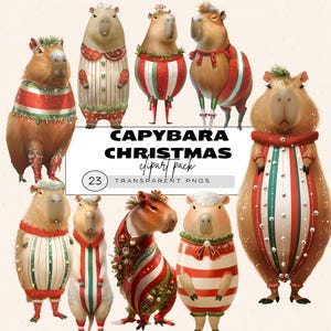 Bundle de cliparts Capybara mignon, Capybara de Noël, Clipart Capybara drôle, Capybara Noël Png, Clipart enfants, Capybara de vacances, Png bébé