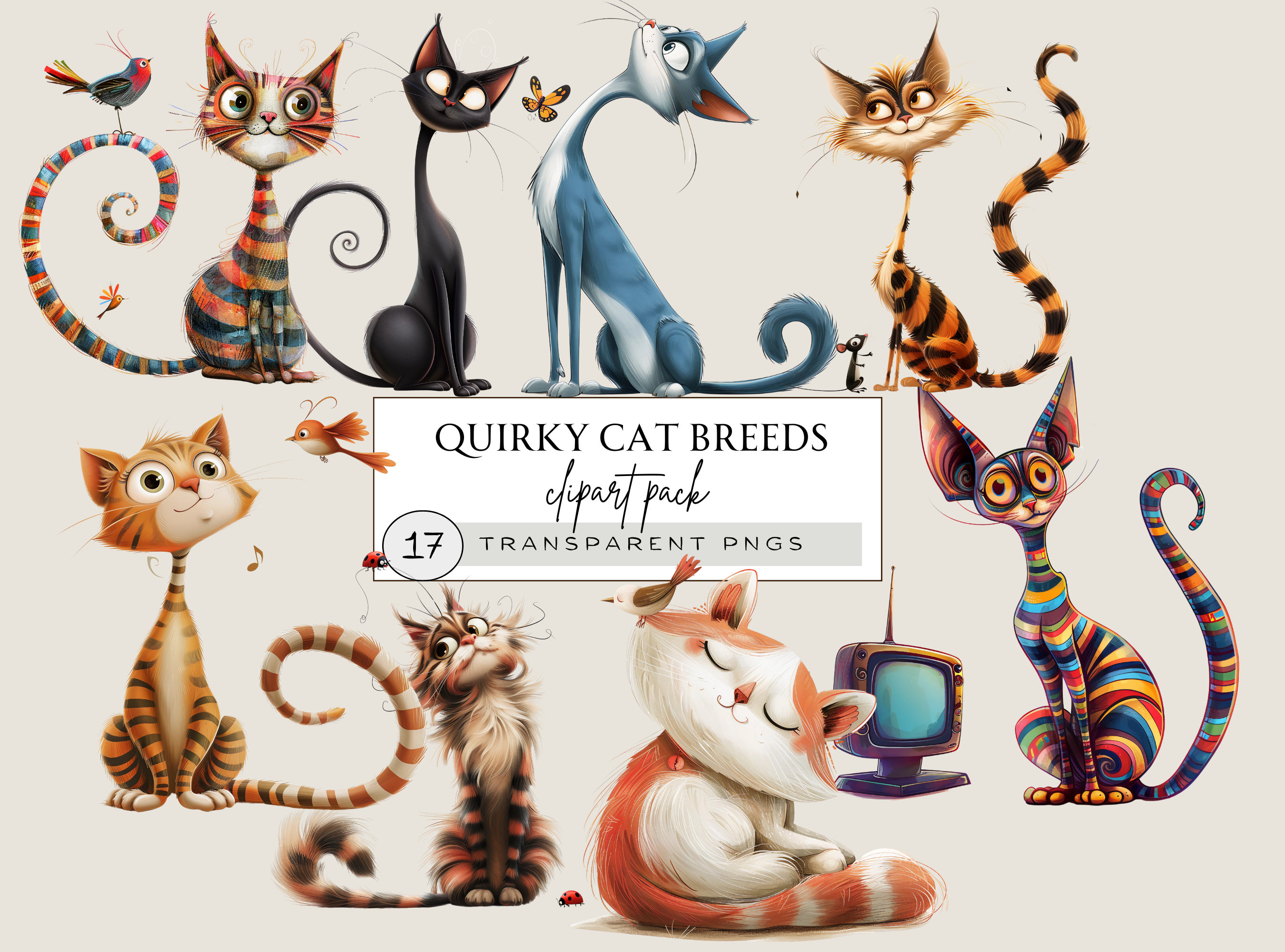 Buy Calico Persian Cat Online In India India