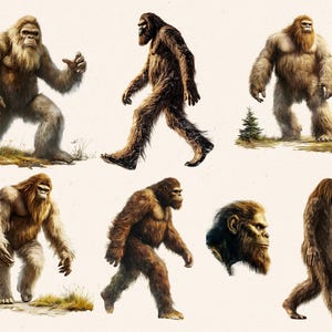 May include: A collection of seven illustrations of Bigfoot, a mythical creature, in various poses. The illustrations are in a realistic style and depict Bigfoot as a large, hairy humanoid with a long, shaggy coat.