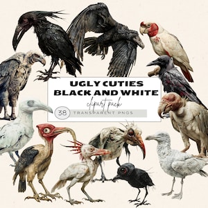 Eigenzinnige vogel clipart, kustvogels, lelijke enge vogels illustraties, zwarte kraaien, schattige vogel clipart, vogel ongewenste dagboek kit, halloween ephemera