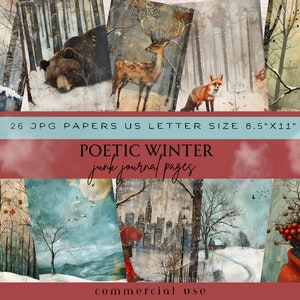 Diario della spazzatura della foresta invernale, Pagine del diario della spazzatura del bosco, Diario della spazzatura di Natale Woodland, Diario della spazzatura degli uccelli di arte digitale colorata, New York
