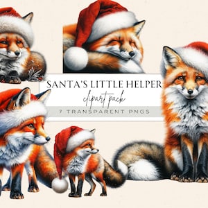 Mignon hiver renards Clipart, clipart aquarelle renard hiver, renard hiver Png, renard hiver Clipart aquarelle Png, visage de renard Png, renard du père Noël Png