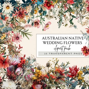 Wilde Floral Frames Clipart, Australian Native Flowers Clipart, Australian Wedding Clipart, Australian Flowers Watercolor Clipart, Flower