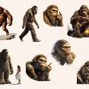 May include: A collection of eight illustrations of Bigfoot, a mythical creature, in various poses. Some are standing, some are sitting, and some are looking at the viewer. The illustrations are in a cartoon style and are set against a white background.