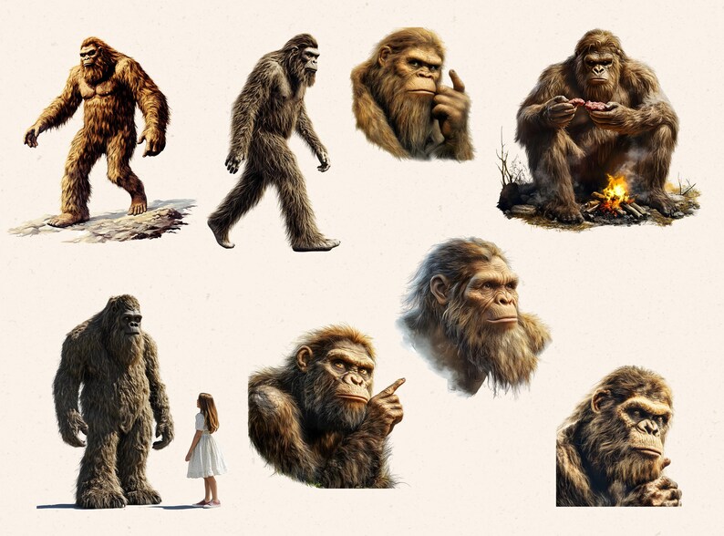 May include: A collection of eight illustrations of Bigfoot, a mythical creature, in various poses. Some are standing, some are sitting, and some are looking at the viewer. The illustrations are in a cartoon style and are set against a white background.