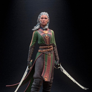 May include: A detailed figurine of a warrior woman, clad in a green and red tunic with intricate gold accents, holding two curved swords. The figure stands on a stone platform. The overall aesthetic is fantasy-themed.
