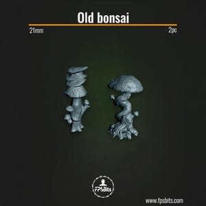 Op de afbeelding: Twee miniatuur grijze bonsai-bomen, elk ongeveer 2,1 cm hoog, worden weergegeven tegen een donkergroene achtergrond. De tekst "Old bonsai" staat bovenaan. Eén boom heeft een gelaagde top, de andere heeft een paddenstoelvormige top.