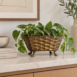 Peut inclure: Une jardinière rectangulaire en métal doré avec une texture de panier tressé et quatre pieds en forme de griffe. La jardinière contient une plante pothos panachée verte et jaune, dont les feuilles retombent sur les côtés du récipient.