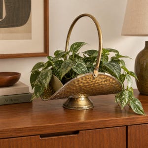 May include: A brass-coloured metal basket with a hammered texture, a curved base, and a single arched handle. The basket is filled with a trailing green and silver variegated pothos plant, with leaves spilling over the sides of the container.