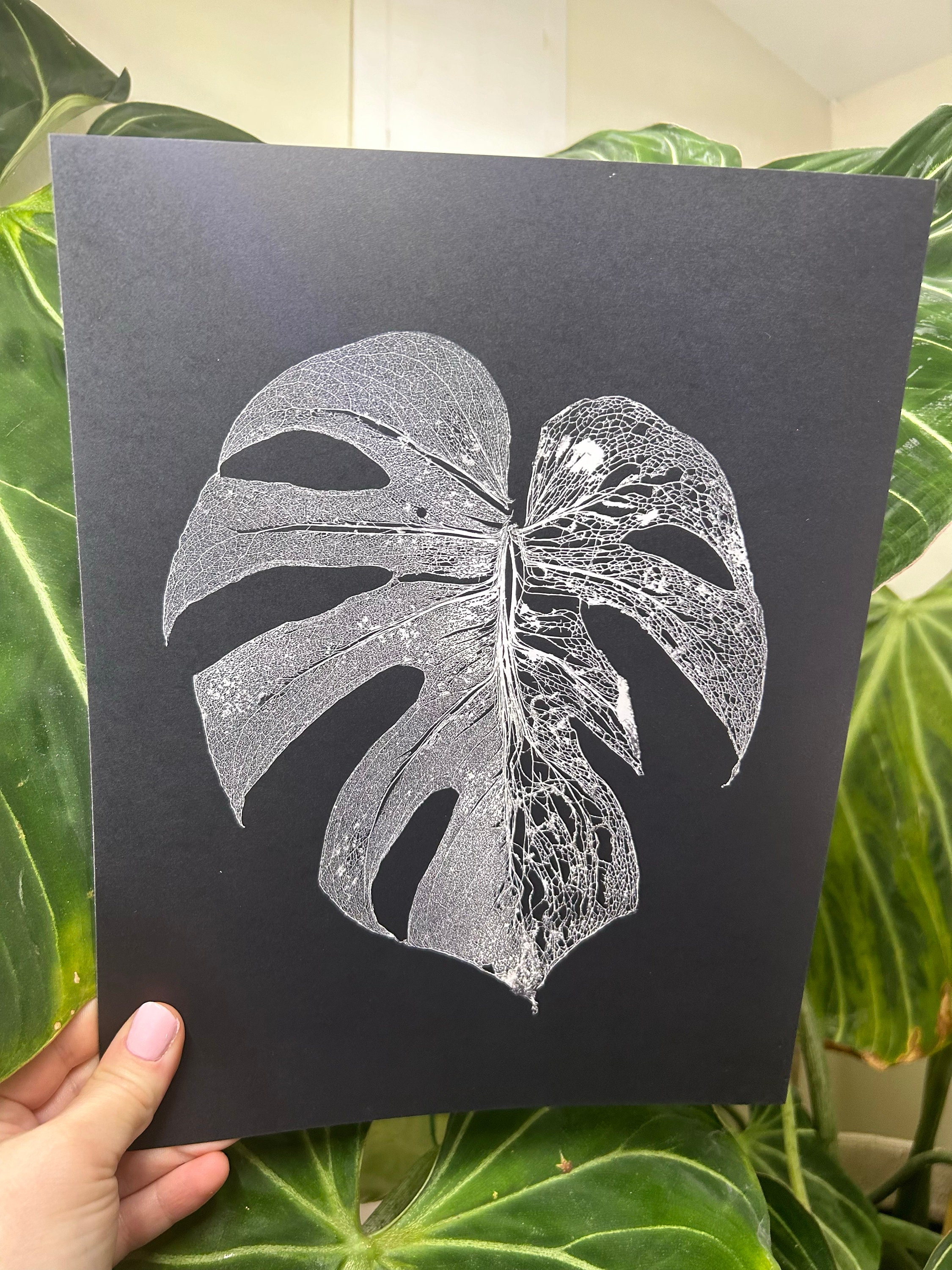 Monstera Albo Leaf Skeleton Print Half Moon Plant Art Home Decor - Etsy
