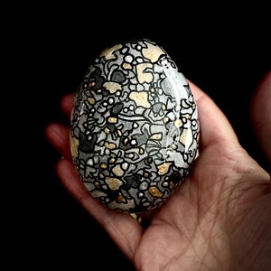Abstract Art Stone - random shapes