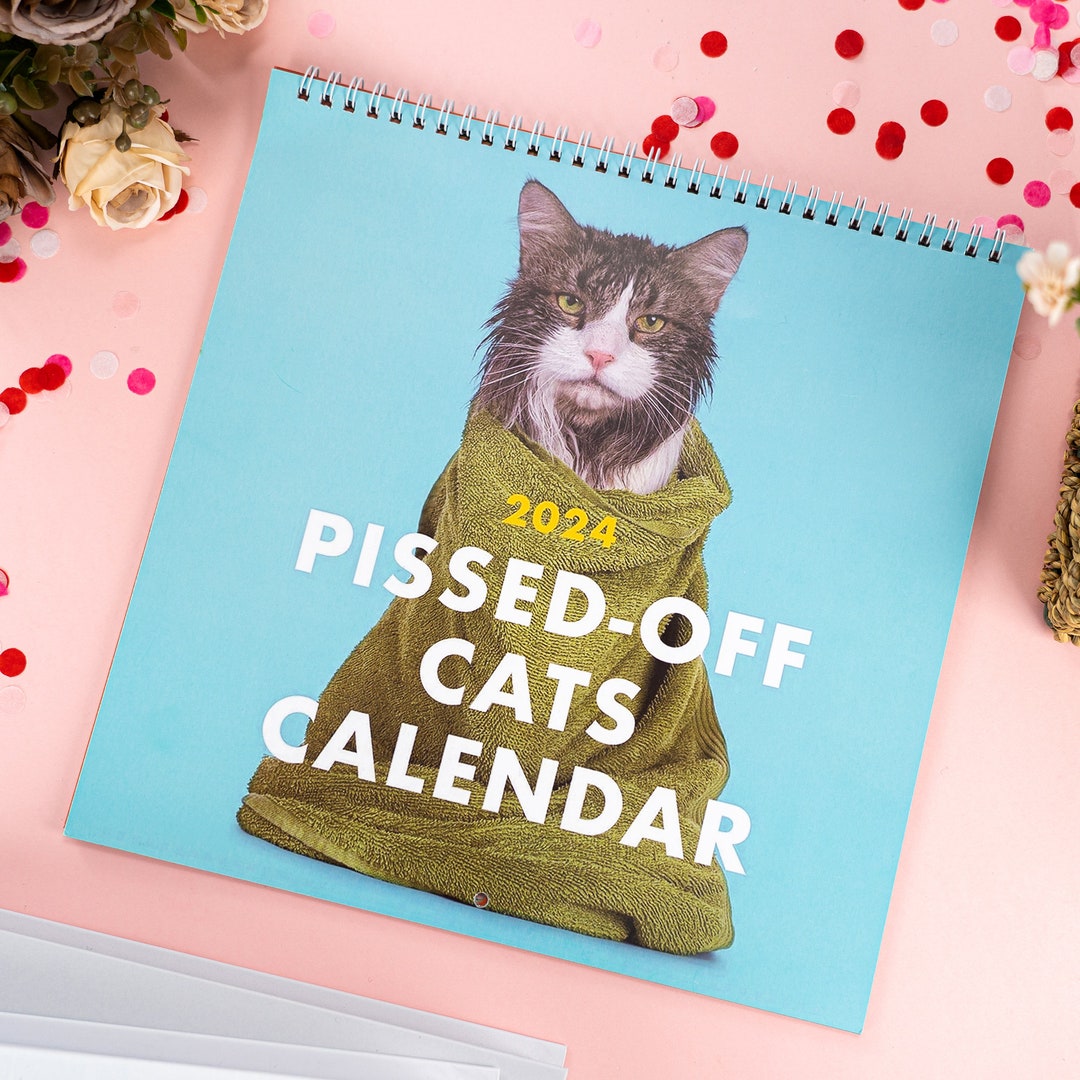 2025 Wall Calendar Angry Cat Calendar Funny Cat Wall Calendar Etsy