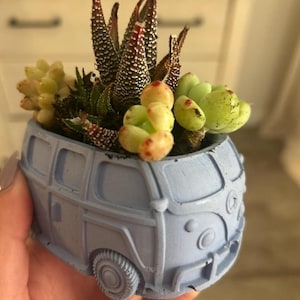 May include: A light blue ceramic planter shaped like a vintage Volkswagen van, filled with a variety of succulents.