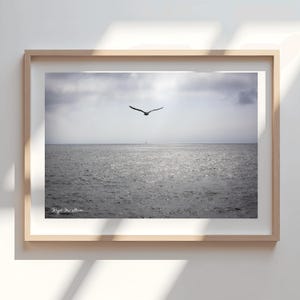 May include: A framed black and white photograph of a single seagull flying over a calm, rippling ocean. The sky is overcast with a hint of sunlight breaking through the clouds. The photograph is signed "Nigel  S. Allan" in the bottom left corner.