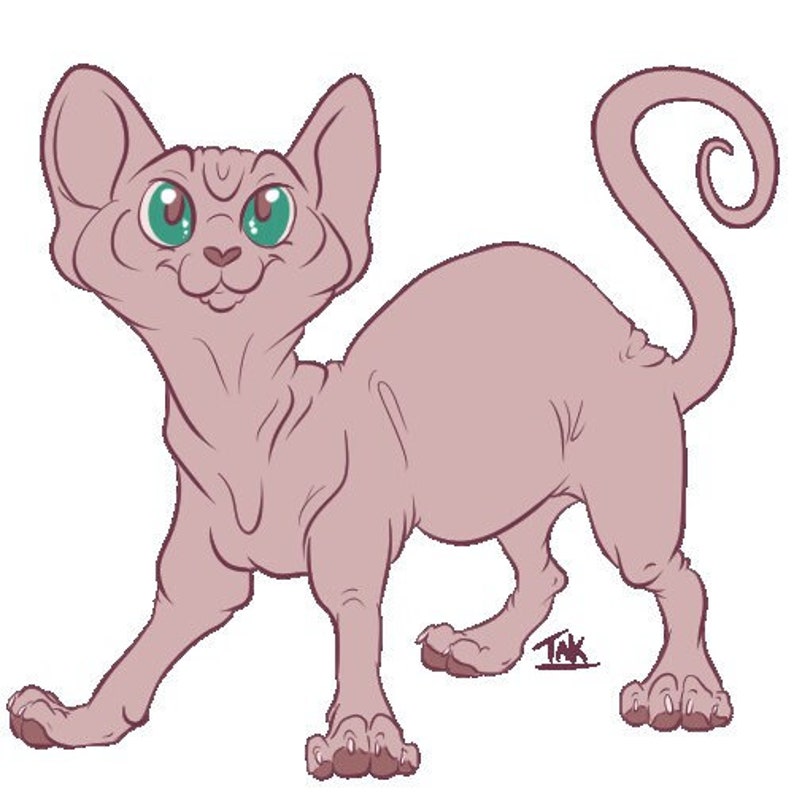 Sphynx Cat Character / Adopt Base PSD FILE Etsy