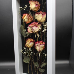 Real Dried Yellow Budding Roses With Pink Tips and Babies Breath ...