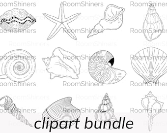 Seashell Line Art Clipart: Hand-Drawn Coastal Shells & Starfish (Instant Download)