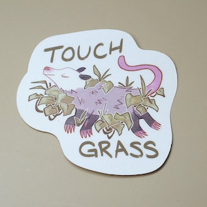 Touch Grass Opossum 3 inch Aufkleber