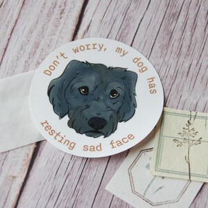 Sticker chien visage triste 3 pouces