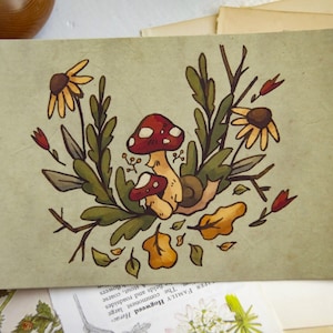 Mushroom Postcard