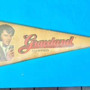 Elvis Presley Wallpaper Border: Make Your Home A Graceland! - aza0a3o