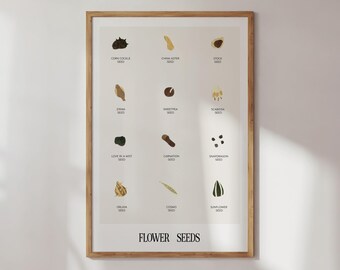 Flower Seeds Classroom Nursery Poster Digital Art Print Download