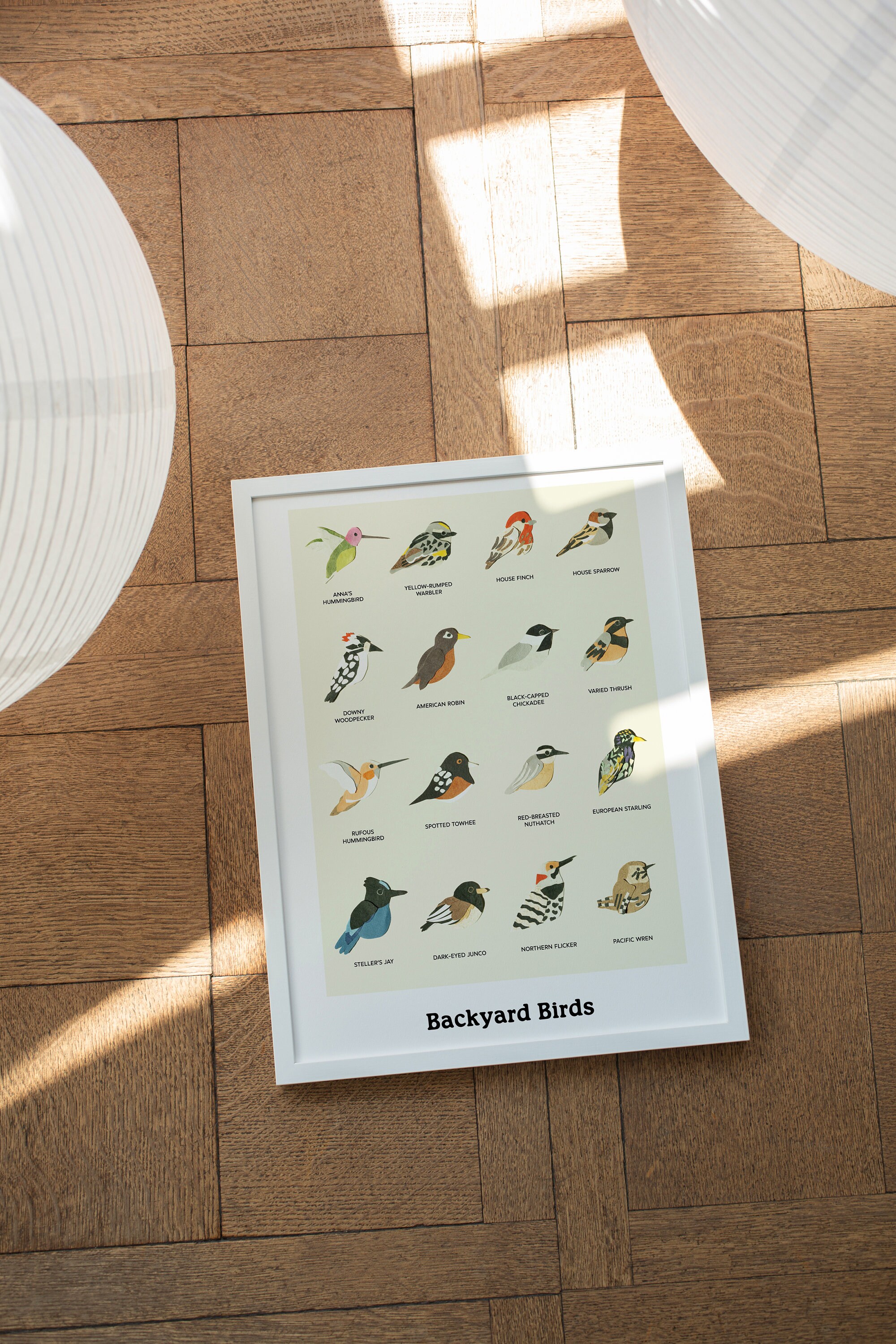 Backyard Birds of the Pacific North West Classroom Nursery Poster ...