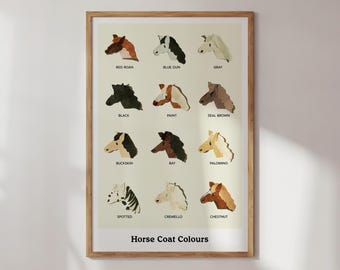 Horse Coats and Colours Classroom Nursery Poster Digital Art Print Download
