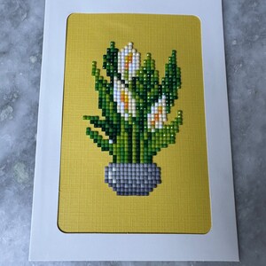 Cartão Flor Spathiphyllum