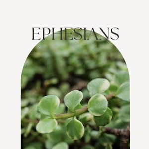 May include: Image features the word "EPHESIANS" in a dark font above a close-up of a green and white succulent plant. The plant is in focus, with rounded leaves and a blurred background.