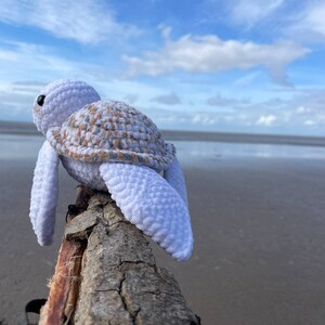 Op de afbeelding: Een witte gehaakte schildpad met een bruin-witte schild zit op een verweerd stuk drijfhout. De schildpad kijkt uit naar de zee met een blauwe lucht en witte wolken op de achtergrond.