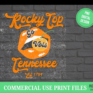 Vintage TN VOLS Retro Gameday digitale afbeelding