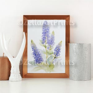 Akwarela Bluebonnet, Teksańskie Bluebonnets, Wystrój Cottagecore, Dzieła sztuki Bluebonnet, Plakat Bluebonnet, Malarstwo Bluebonnets, Kwiat Stanowy Teksasu