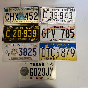 Plates: Canada, Hawaii, Alaska, TX Army, TN Frat order of Police