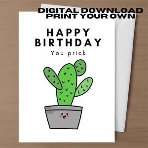 Cartões de felicitações de aniversário rudes Cartão engraçado e sujo Download digital para impressão Melhor amigo Cartão de aniversário inapropriado Humor bruto