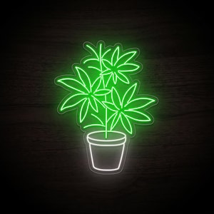 Pode incluir: Um letreiro de néon com uma planta verde brilhante com várias folhas pontiagudas que se estendem a partir de um caule central. A planta está num vaso branco brilhante. O design é contornado por uma borda fina e clara sobre um fundo escuro.