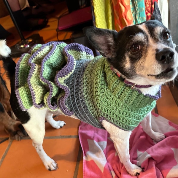 Robe Tutu à Volants pour Chien ou Chat