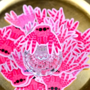 Valentine&#39;s Day Pink Spider Sticker-Waterproof