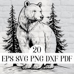 Vector 20 ours Design Bundle forêt ours PNG pour sublimation ours fichier SVG pour cricut, fichier de découpe laser ours sauvage pour gravure, impressions
